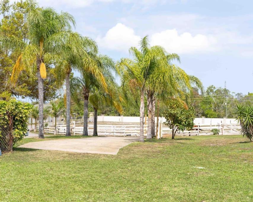 Апартаменты Tampa Bay Oasis Тарпон-Спрингс Экстерьер фото