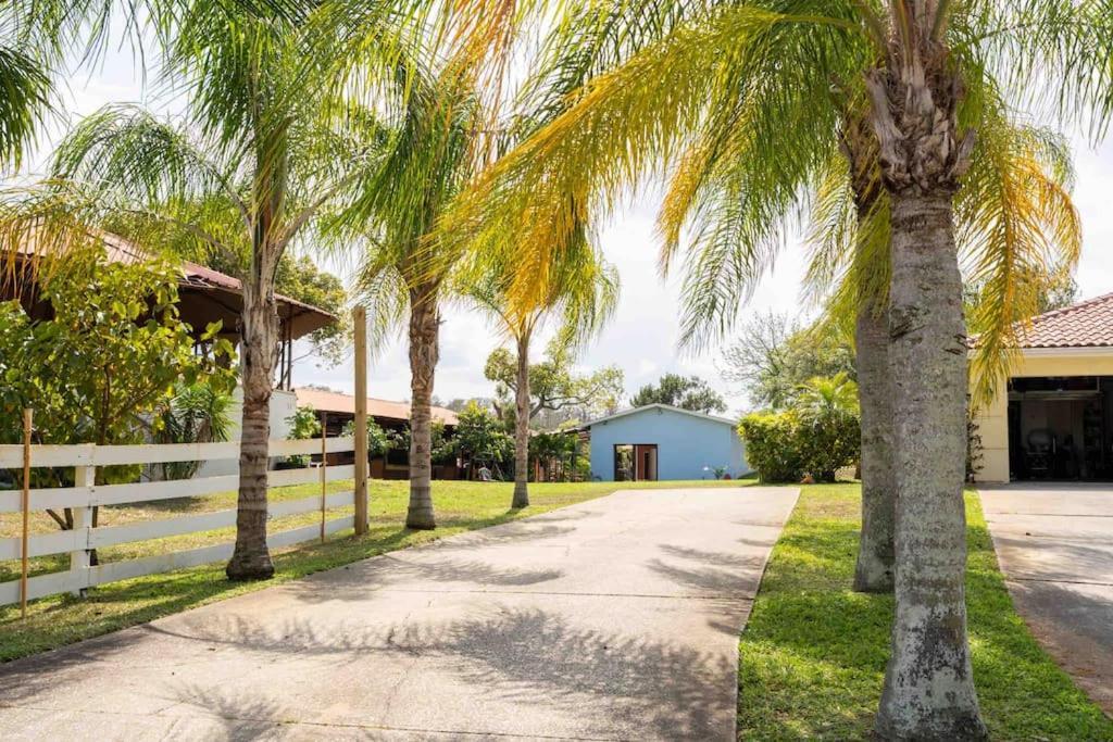 Апартаменты Tampa Bay Oasis Тарпон-Спрингс Экстерьер фото